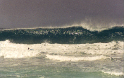 Elcotillo.jpg (47182 bytes)